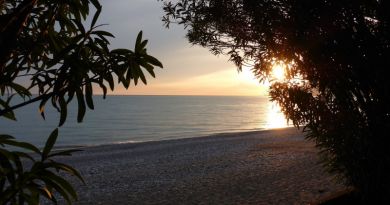 Экскурсии в Озеро Рица, Абхазия из Головинки 2024