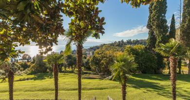 Экскурсии в `город Пицунда, Абхазия` из Головинки