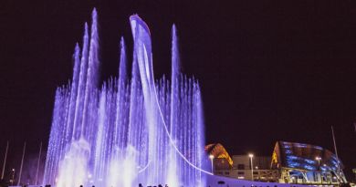 Вечерний Сочи: Морпорт, Ривьера, Олимпийский парк + фонтаны. - Авто-пешеходная экскурсия